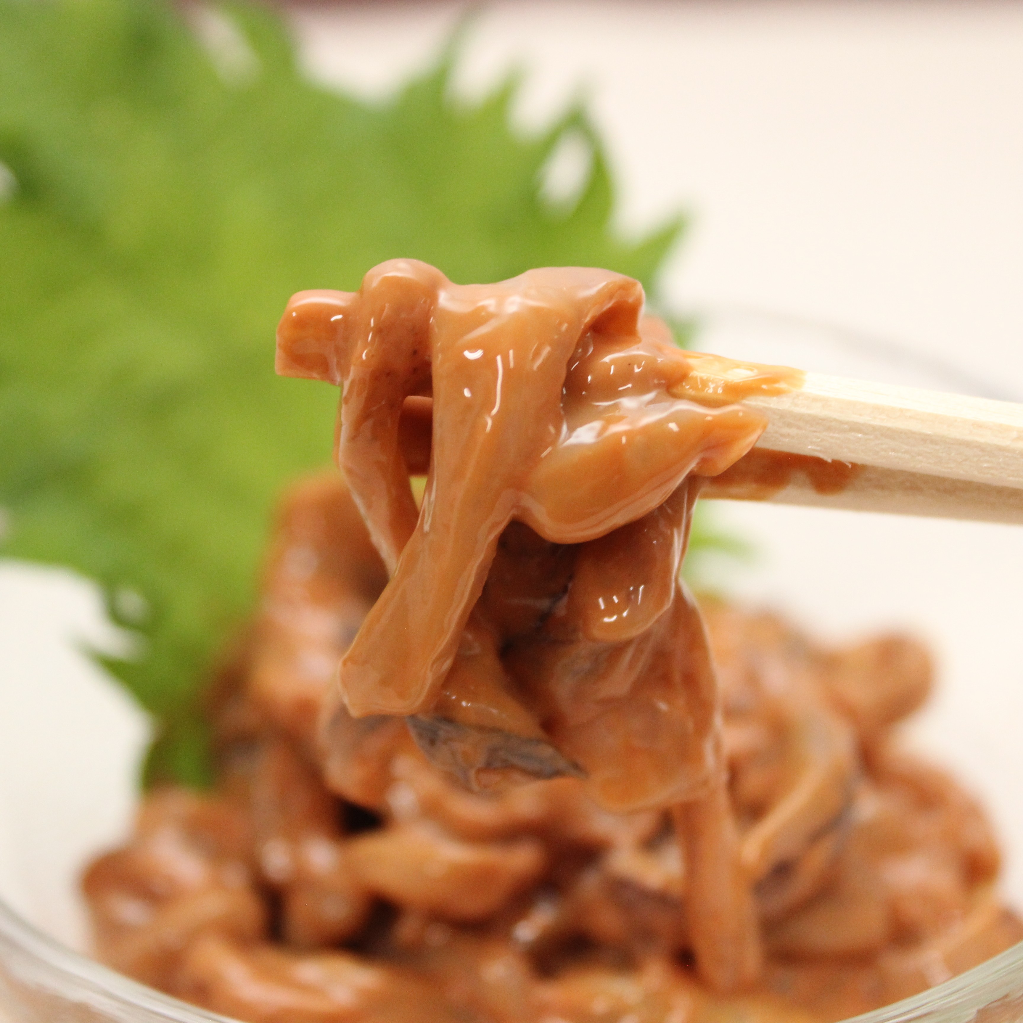 八食　イカのおつまみセット