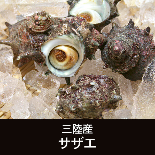 三陸産 サザエ