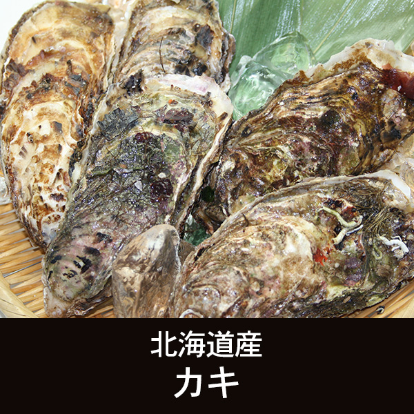 北海道産 カキ