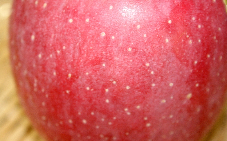 りんご表面の自己防衛皮膜