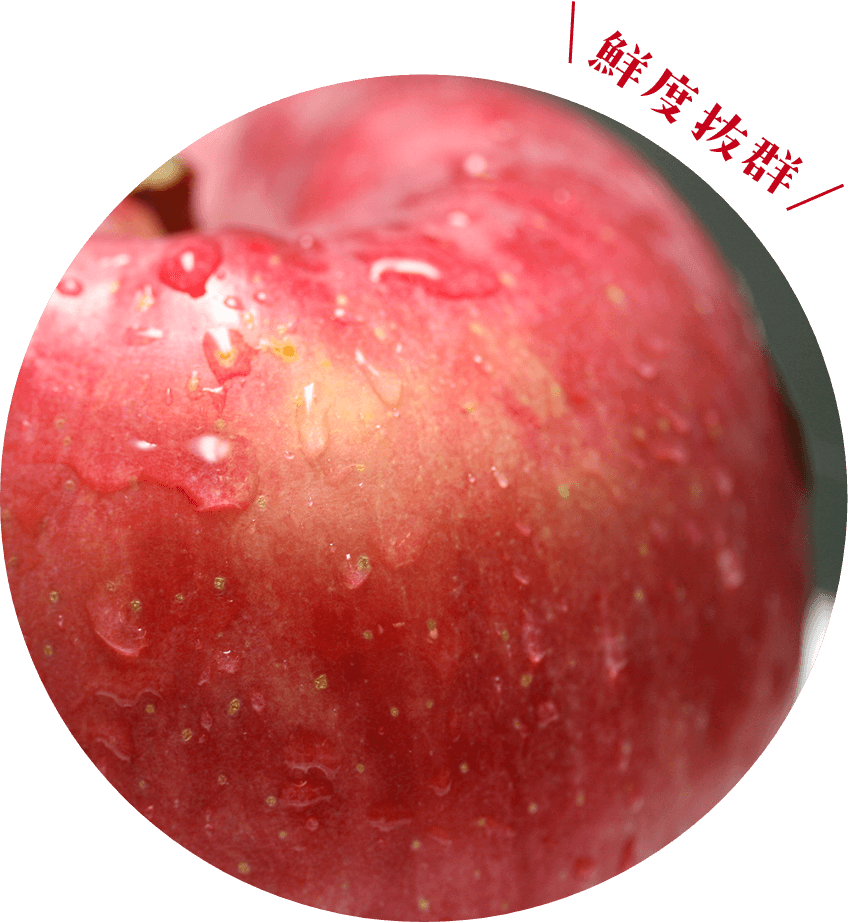 新鮮な青森りんごを直送