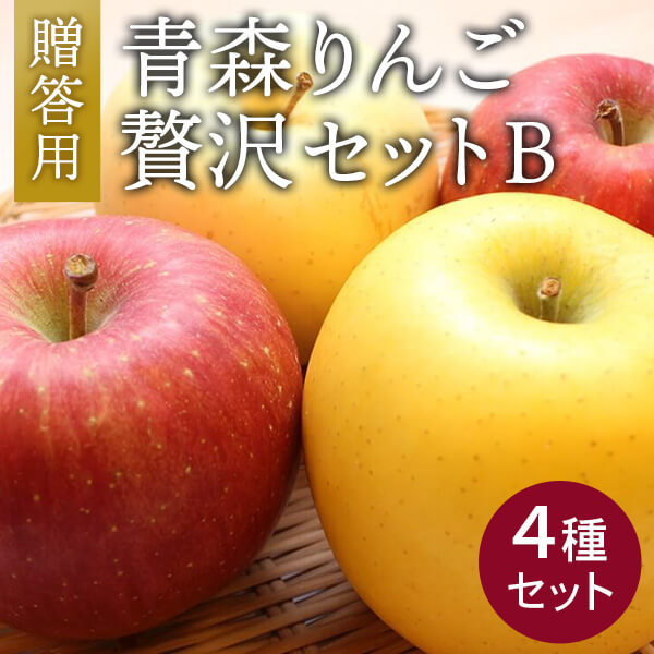 青森りんご贅沢セット（4種）B