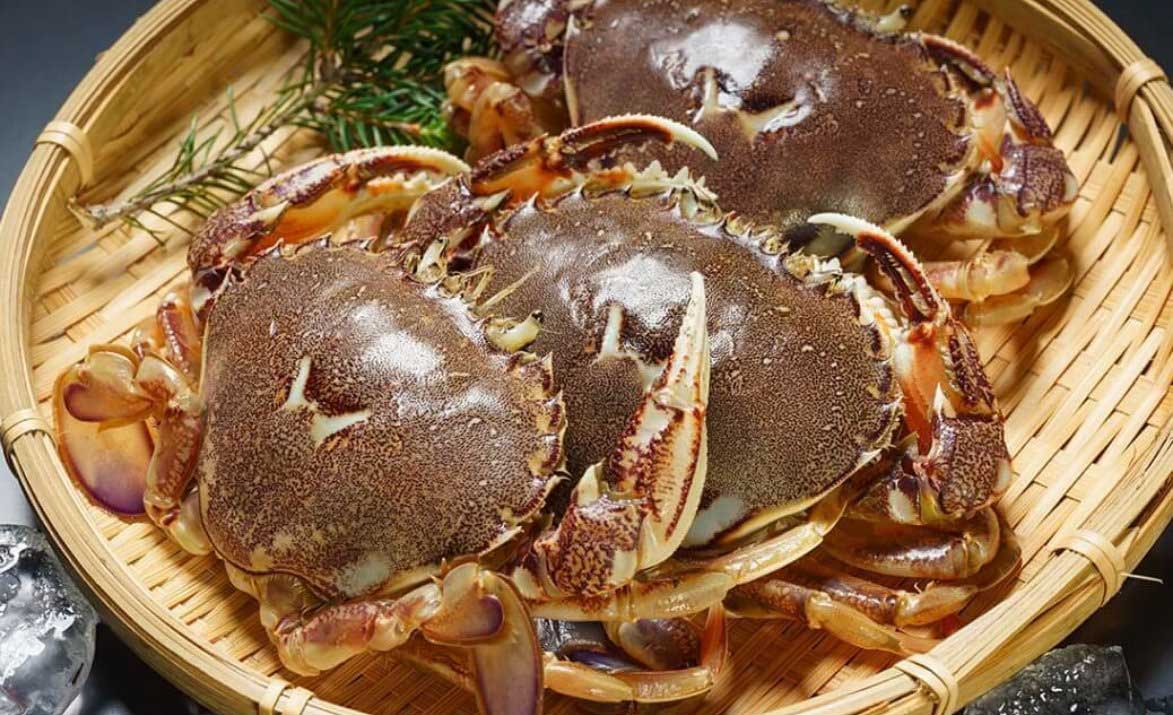 内子が美味しいメスのヒラツメガニ