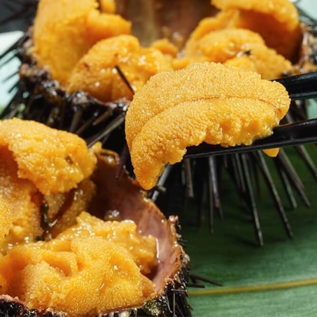 ウニのおすすめの食べ方-まずは何もつけずにそのまま