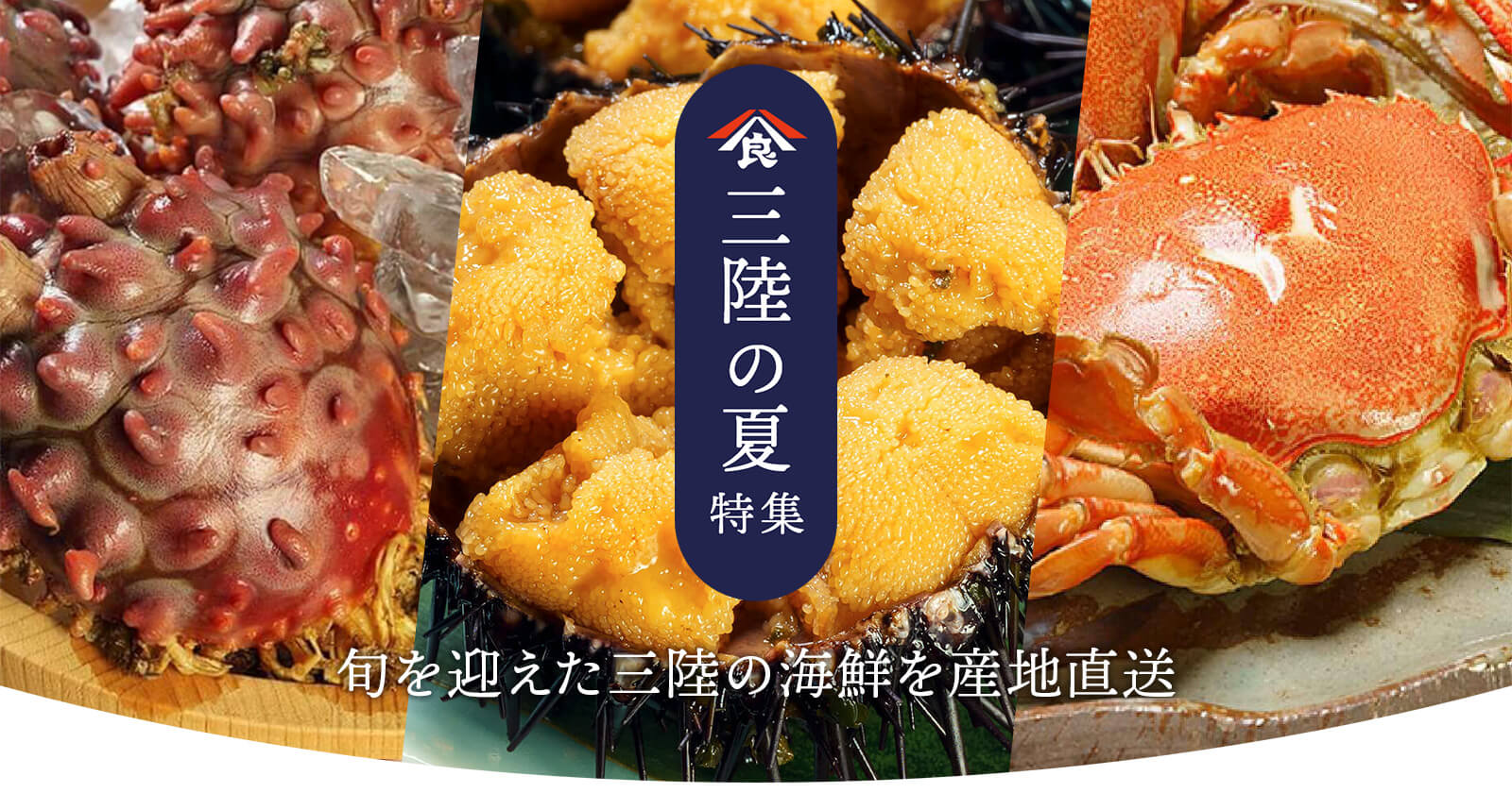 八食センターの三陸の夏特集