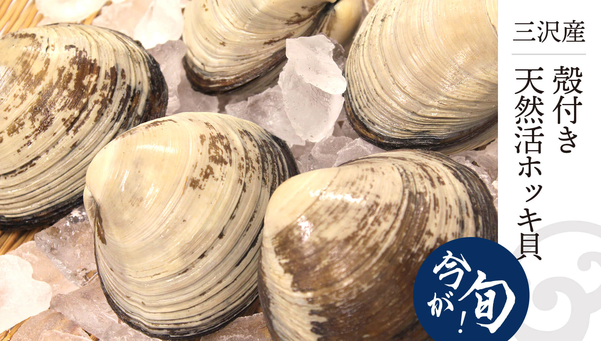 三沢産 殻付き天然活ホッキ貝