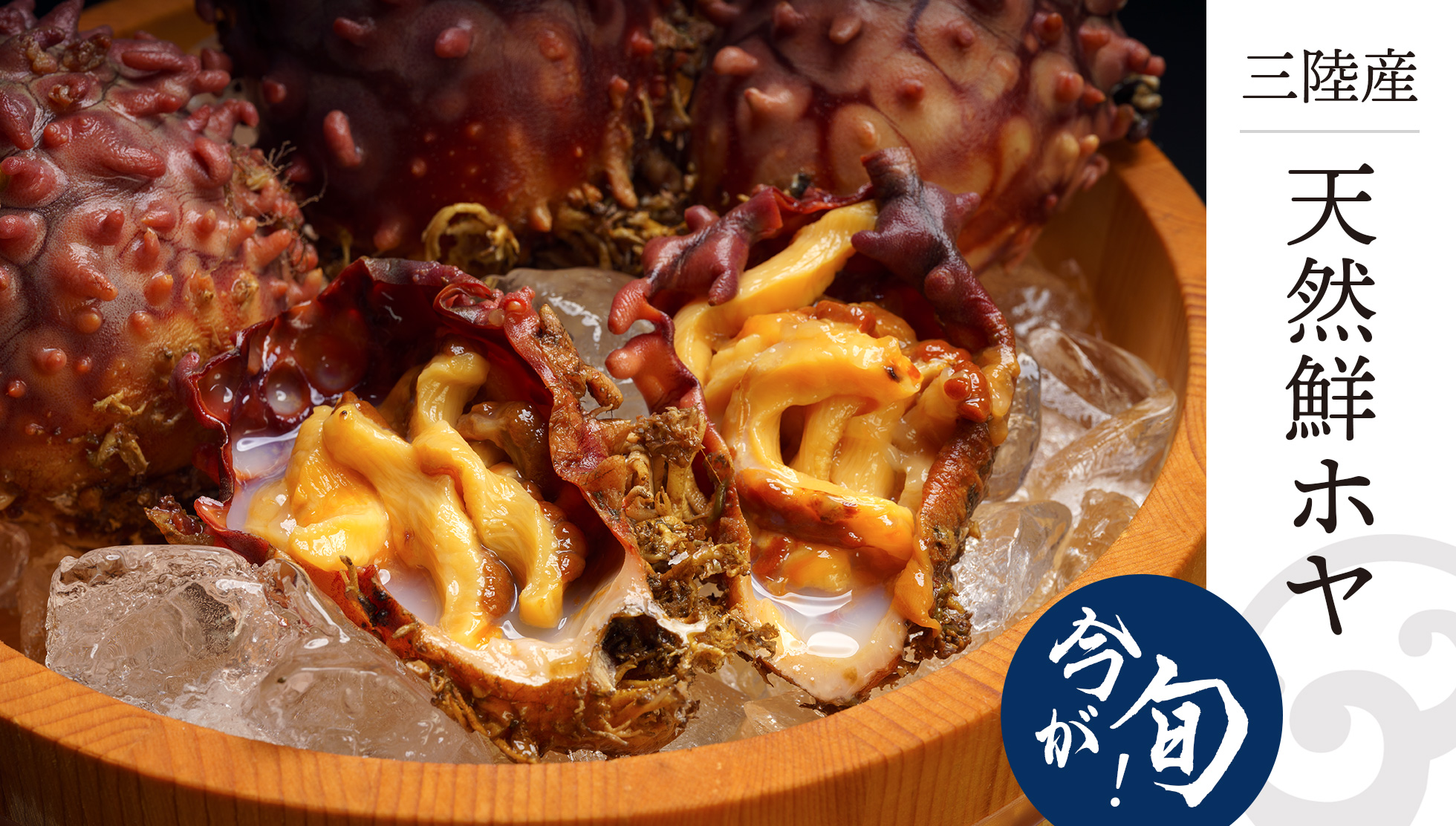 青森県産 天然鮮ホヤ