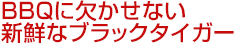 BBQに欠かせない新鮮なブラックタイガー