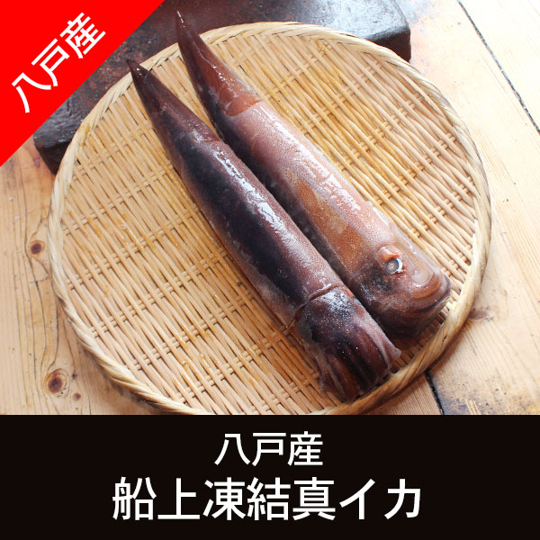 八戸産 船上凍結真イカ×2ハイ