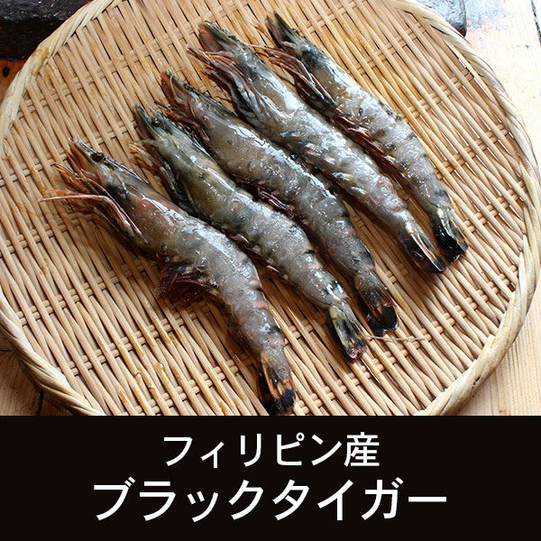 フィリピン産 ブラックタイガー