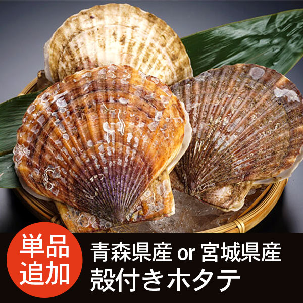 青森県産または宮城県産 殻付きホタテ