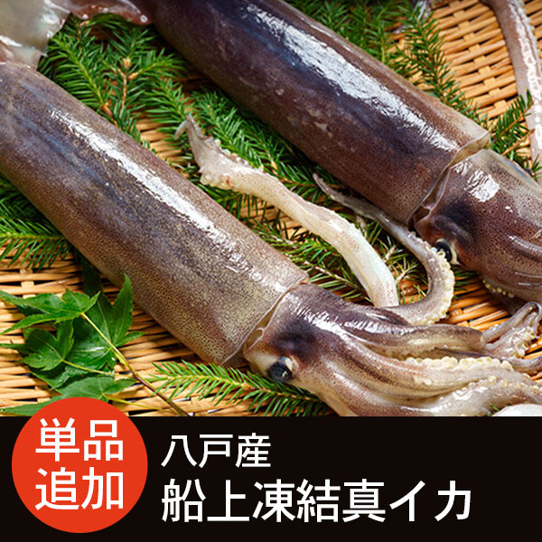 八戸産 船上凍結真イカまたは生真イカ