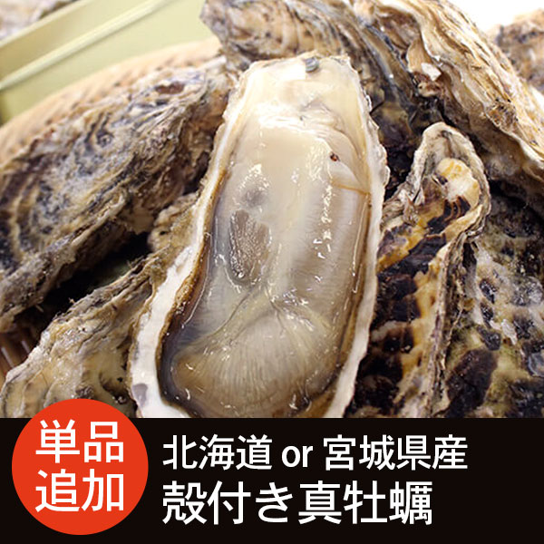 北海道または宮城県産 殻付き真牡蠣