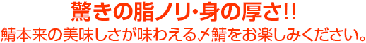 驚きの脂ノリ・身の厚さ!!鯖本来の美味しさが味わえる〆鯖をお楽しみください。