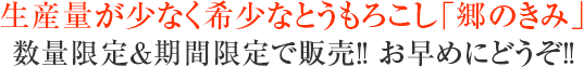 生産量が少なく希少なとうもろこし「郷のきみ」数量限定&期間限定で販売!! お早めにどうぞ!!