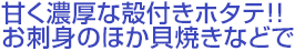 甘く濃厚な殻付きホタテ!!お刺身のほか貝焼きなどで