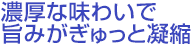 濃厚な味わいで旨みがぎゅっと凝縮