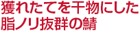 獲れたてを干物にした脂ノリ抜群の鯖