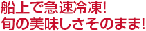 船上で急速冷凍!旬の美味しさそのまま!