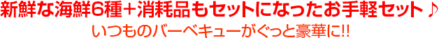 新鮮な海鮮6種+消耗品もセットになったお手軽セット♪いつものバーベキューがぐっと豪華に!!