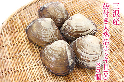 三沢産 殻付き天然活ホッキ貝(M)×5個