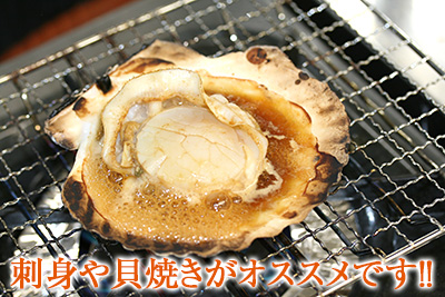 刺身や貝焼きがオススメです!!