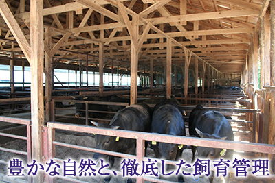 豊かな自然と、徹底した飼育管理