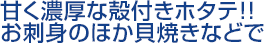 甘く濃厚な殻付きホタテ!!お刺身のほか貝焼きなどで