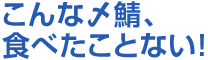 こんな〆鯖、食べたことない!