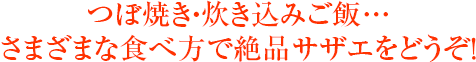 つぼ焼き・炊き込みご飯…さまざまな食べ方で絶品サザエをどうぞ!