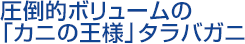 圧倒的ボリュームの「カニの王様」タラバガニ