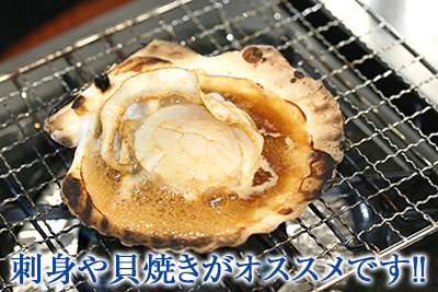 刺身や貝焼きがオススメです!!