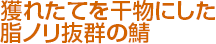 獲れたてを干物にした脂ノリ抜群の鯖