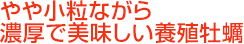 気軽に楽しめる牡蠣